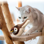 Cat playing with a plush toy on a wooden perch, with close-up of plush material.
