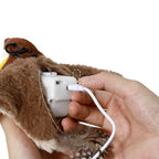 Hand plugging a white device into a brown plush toy with a white background